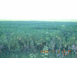 Photo not available
